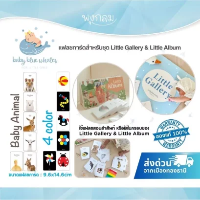 Baby Blue Whales แฟลชการ์ดเด็ก Little Gallery &amp; Little Album เสริมพัฒนาการ (0M+)