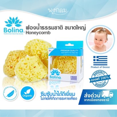 BOLINA ฟองน้ำธรรมชาติแท้ 100% แบบ Honeycomb
