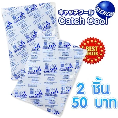 CATCH COOL น้ำแข็งแห้ง เจลรักษาความเย็นสำหรับน้ำนมและอาหาร