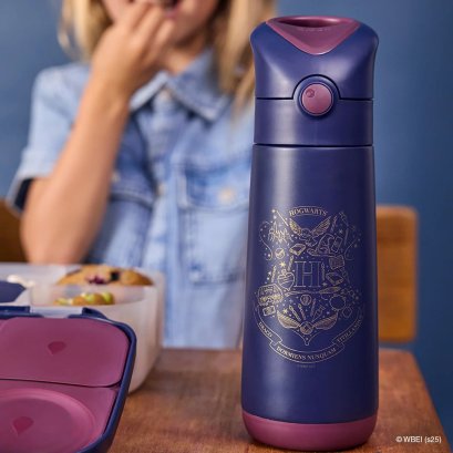 BBOX Insulated Drink Bottle Disney Collection ขวดน้ำสแตนเลสเก็บอุณหภูมิ 500ml พร้อมหลอดดูด (1y+)