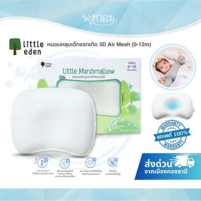 LITTLE EDEN หมอนหลุมเด็กแรกเกิด ปลอกผ้าหุ้มหมอนพิเศษ 3D Air Mesh (0-12m)