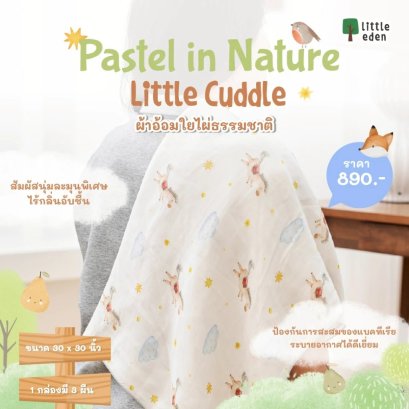 LITTLE EDEN ผ้าอ้อมใยไผ่ 100% 30x30 นิ้ว Pastel in Nature Collection (3pcs)