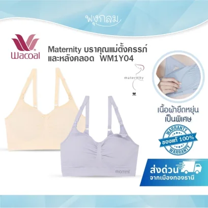 WACOAL Maternity บราคุณแม่ตั้งครรภ์และหลังคลอด WM1Y04