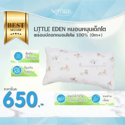 LITTLE EDEN หมอนหนุนเด็กโต พร้อมปลอกหมอนใยไผ่ 100% (1y+)