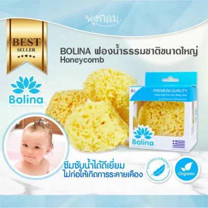 BOLINA ฟองน้ำธรรมชาติแท้ 100%