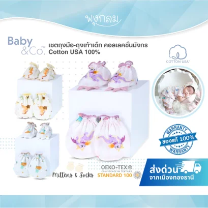 ปกใหม่