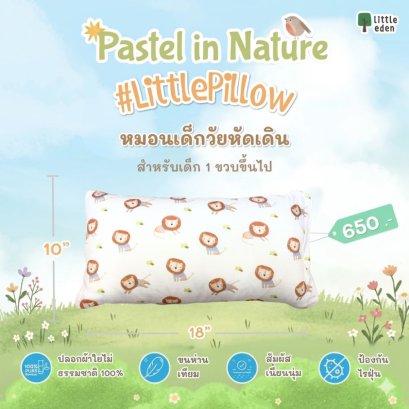 Little Eden หมอนหนุนเด็กโต Pastel in Nature Collection พร้อมปลอกหมอนใยไผ่ 100% (12M+)