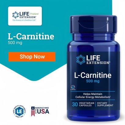 L-Carnitine 500 mg.