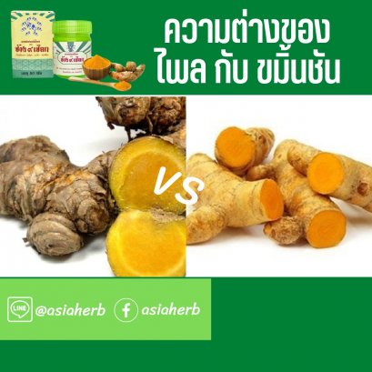 ช้าง9เชือก