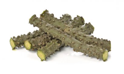 เตือนสติการใช้สมุนไพร อย่าเห่อตามกระแสใช้สมุนไพรเชิงเดี่ยว