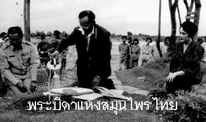 ในหลวง พระบิดา แห่งสมุนไพรไทย