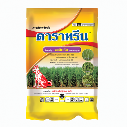 ดาราทรีน