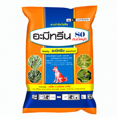 อะมีทรีน 80 ดับเบิ้ลยูจี 