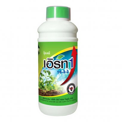 เอิร์ท 1