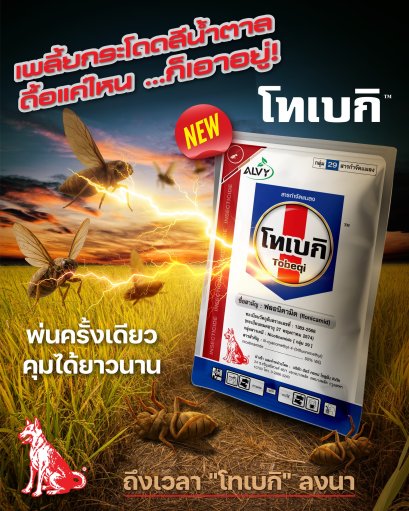 โทเบกิ