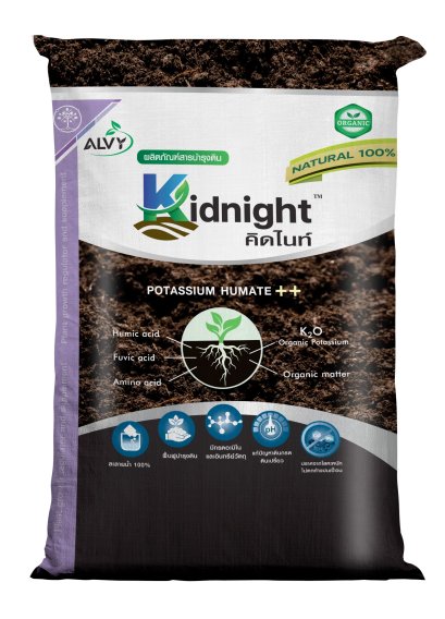 คิดไนท์