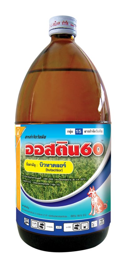 ออสติน60