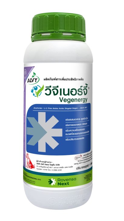 วีจีเนอร์จี้