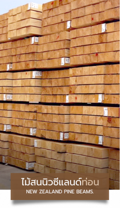 ไม้สนท่อนนำเข้าจากต่างประเทศ