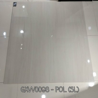 60X120 GXW0098 POL