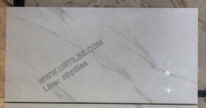 60X120_MARBLE_TILES.jpg