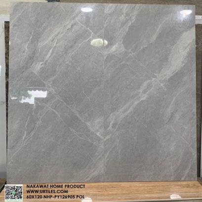 60X120 NHP-126905 เทียต้า เทาอ่อน (POL)