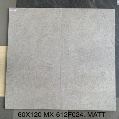  60X120 MX-JET612F024 (MATT)