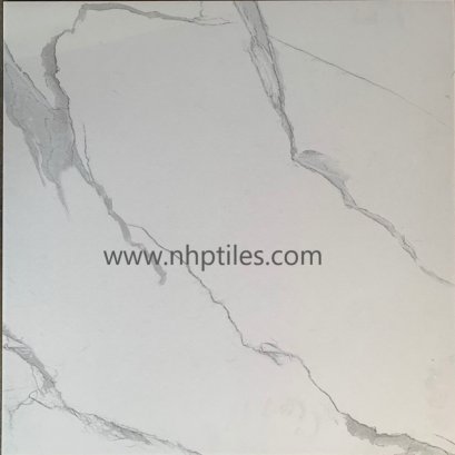  60X60 0048 ไวท์คาราร่า ผิวหยาบ