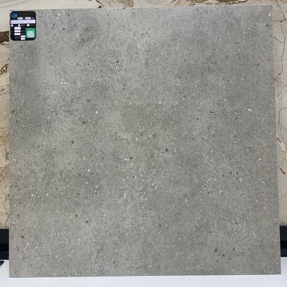 60X60 BLD-TERRENCE GREY R9