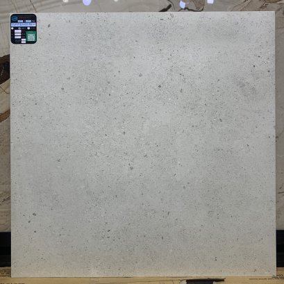 60X60 BLD-TERRENCE SILVER R9