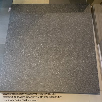 60x60_MX_SR_6003_MT_terrazzo_graphite.jpg
