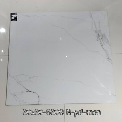 80X80 8809 N POL