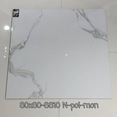 80X80 8810 N POL