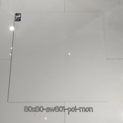 80X80 SW801 POL