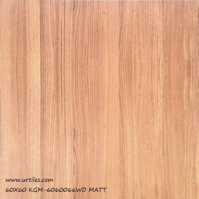 60X60 NHPM6060066  WOOD TILES MATT