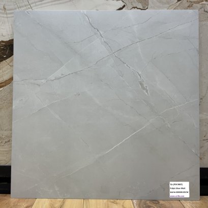 กระเบื้อง_60x60_bld_pulpis_silver_matt.jpg