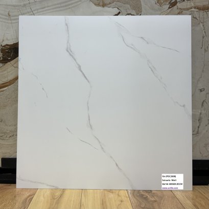 กระเบื้อง_60x60_bld_saturio__pdc2008_matt.jpg