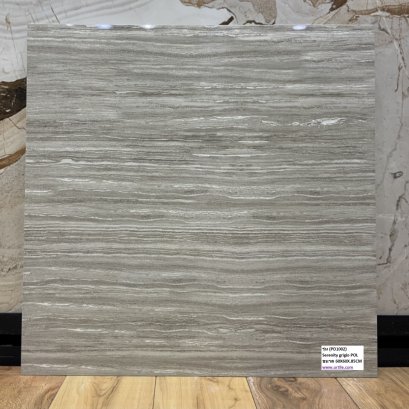 กระเบื้อง_60x60_bld_serenity_grigio__pd1002hg_.jpg