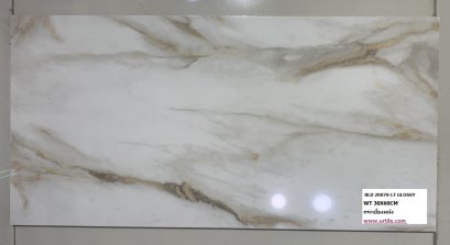  กระเบื้องผนัง_WT_30X60CM_BLD_20078_LT_GLOSSY.jpg