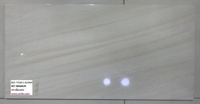  กระเบื้องผนัง_WT_30X60CM_BLD_75296_L_GLOSSY.jpg