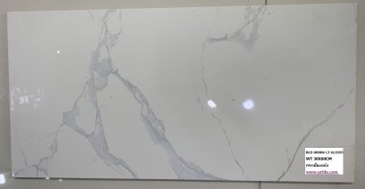 กระเบื้องผนัง_WT_30X60CM_BLD_80006_LT_GLOSSY.jpg