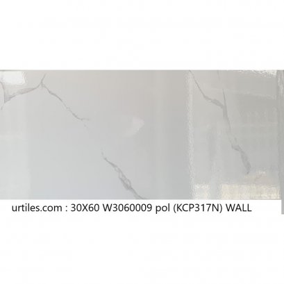 ผนัง 30X60 KCP317N คาราร่า ไวท์ POL