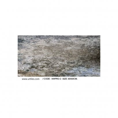 ผนัง 30X60 RO 2 นูวา เกรย์ แมตซ์ POL