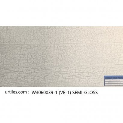 ผนัง 30X60 VE 1 แอนตาร์กติก ไวท์ POL