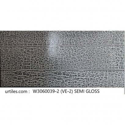 ผนัง 30X60 VE 2 แอนตาร์กติก  แบล็ค SEMI-GLOSS