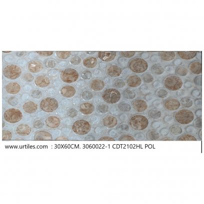 ผนัง 30X60 W30600022-1 บีซสโตน POL