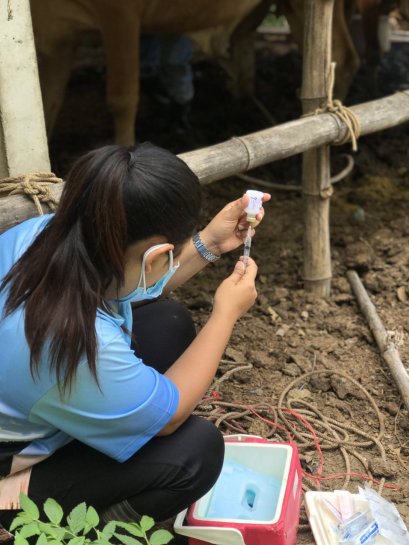 โครงการส่งเสริมและป้องกันโรคระบาดในสัตว์เลี้ยง ประจำปี ๒๕๖๔