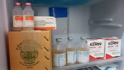 โครงการส่งเสริมและป้องกันโรคระบาดในสัตว์เลี้ยง ประจำปี ๒๕๖๖