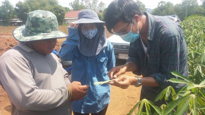 โครงการส่งเสริมและป้องกันศัตรูพืช ประจำปี ๒๕๖๓