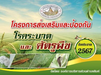 โครงการส่งเสริมและป้องกันศัตรูพืช ประจำปี 2567